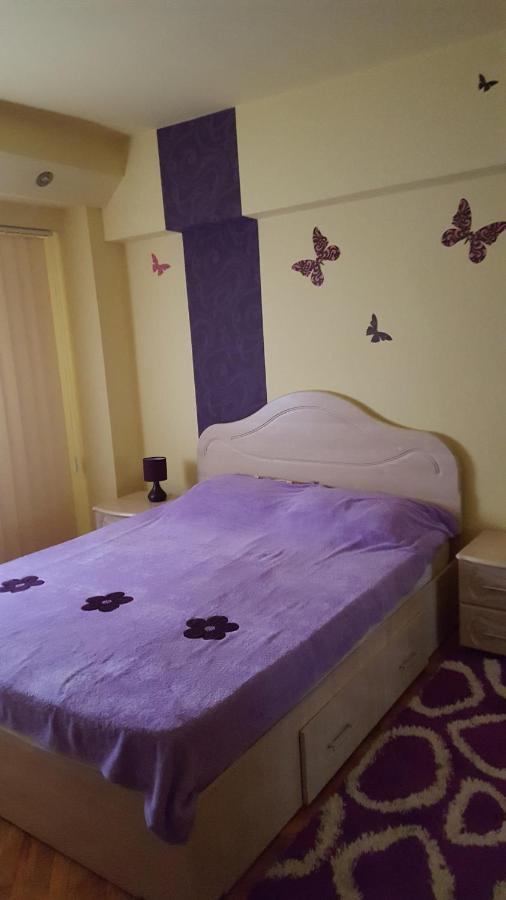 Apartament Cu 2 Camere Spatioase In Centrul Orasului - Andrei Брэила Экстерьер фото